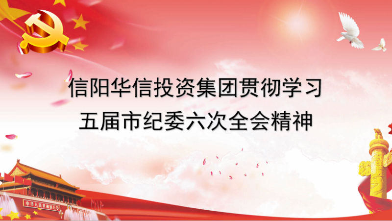 信阳华信投资集团贯彻学习五届市纪委六次全会精神