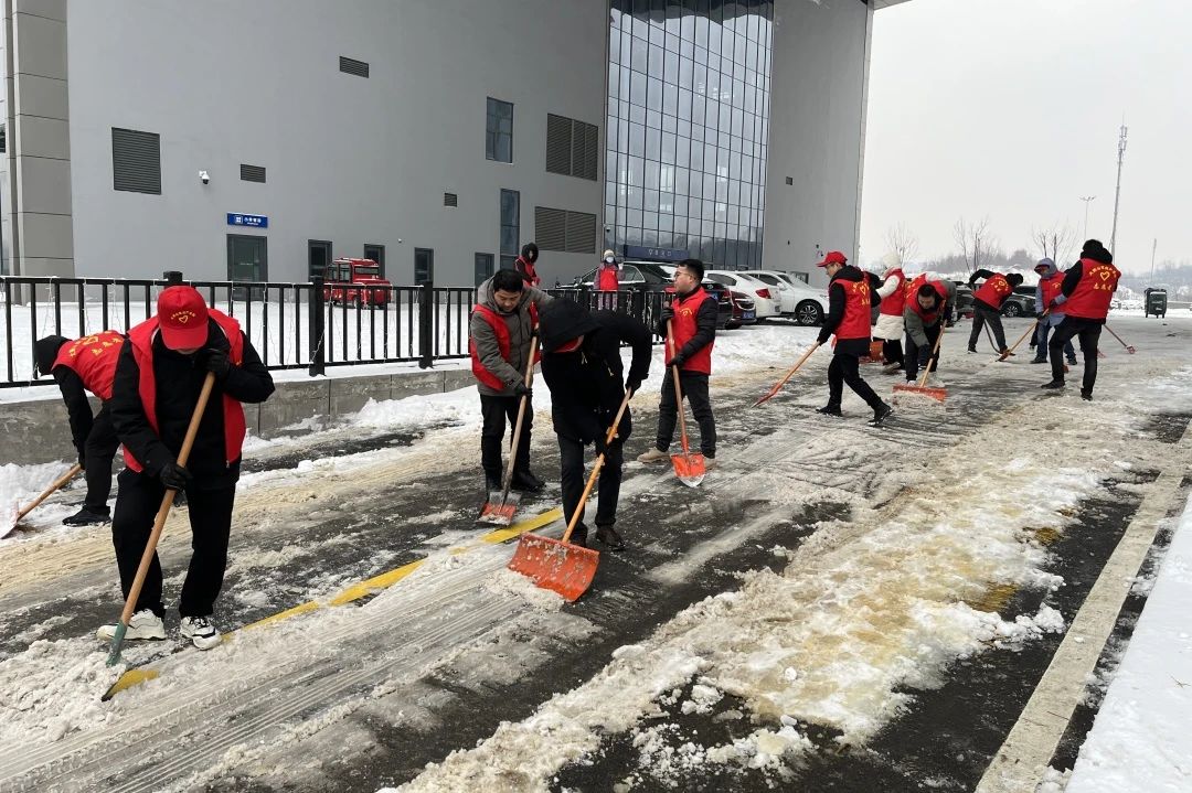 众志成城 共抗冰雪|双创公司开展铲冰扫雪志愿服务活动