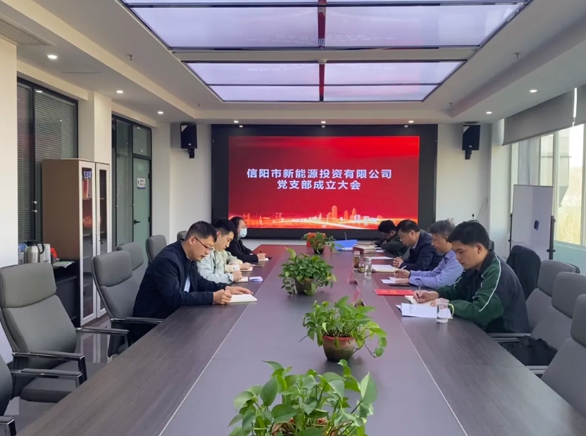 新能源公司召开党支部成立大会
