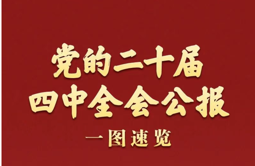 理论学习 | 党的二十届四中全会公报一图速览